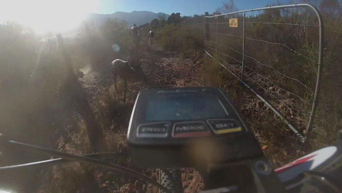 164448_356601841124276_1020674112_n