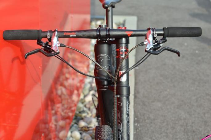 313411_4590558920281_1474483060_n