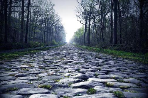 539060_152463068255020_509478515_n