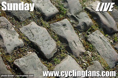 558155_358617214258856_1950265984_n