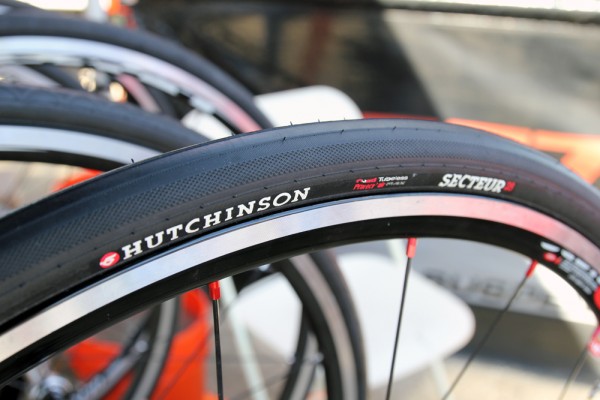 hutchinson-Sea-Otter041813_0560-600x400