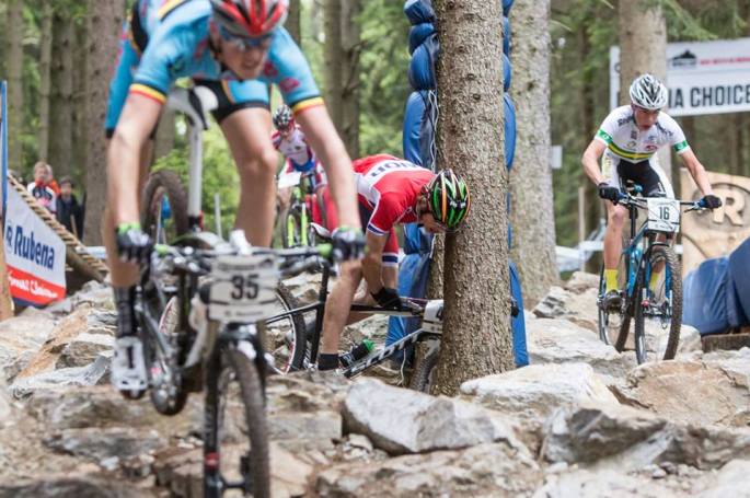 942365_568396886515658_1302965660_n