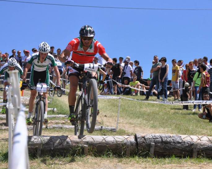 429950_527911193913235_228966386_n