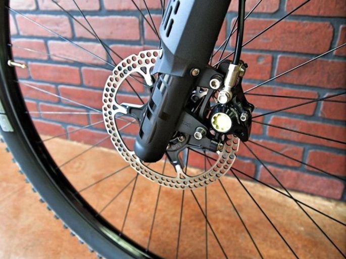 431822_309230365874262_755006822_n