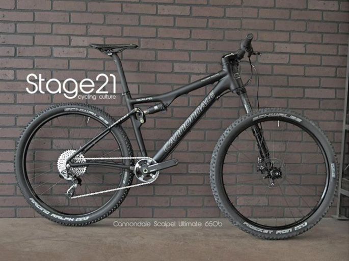 531812_309229962540969_735940053_n