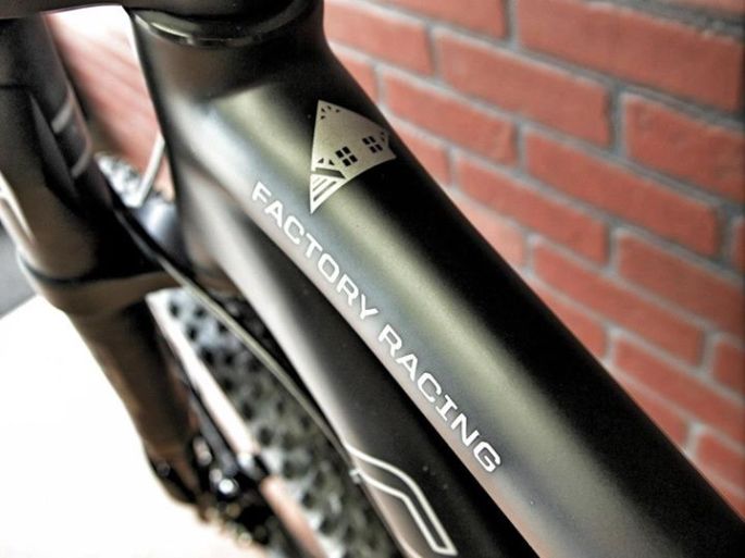 923096_309230329207599_2100905704_n