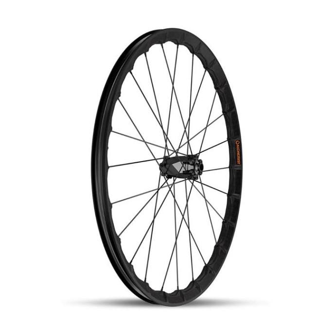 1069207_10200482577611125_253052999_n