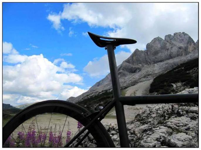 1234473_4985360726420_1753573207_n