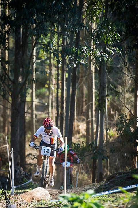 1240529_10152176347753642_895033322_n