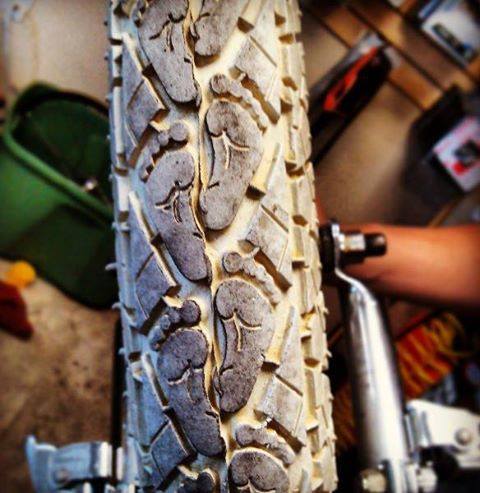 1381897_229822970538173_504236132_n