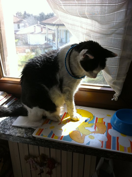 208939_1933588257648_6933368_n