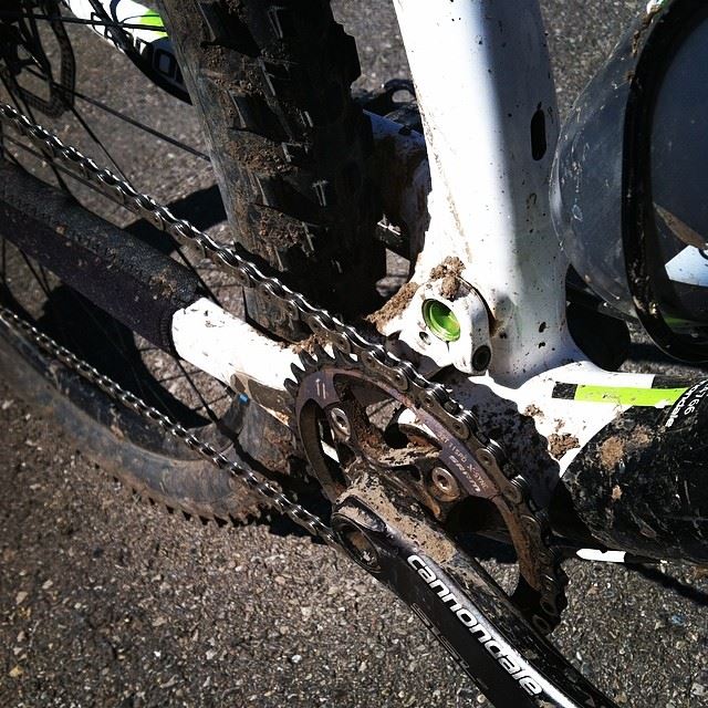 1506056_10151918127776104_436723618_n