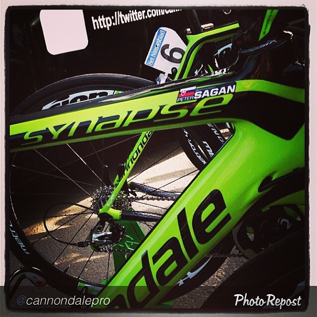 1962735_10153961118845433_1850521990_n