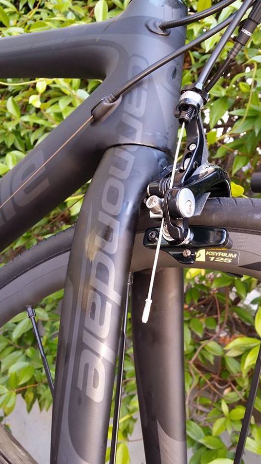 10550858_842642225749004_845752953006139792_n