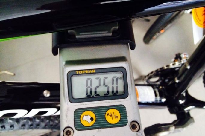 1484309_734556786611415_979288920604263266_n