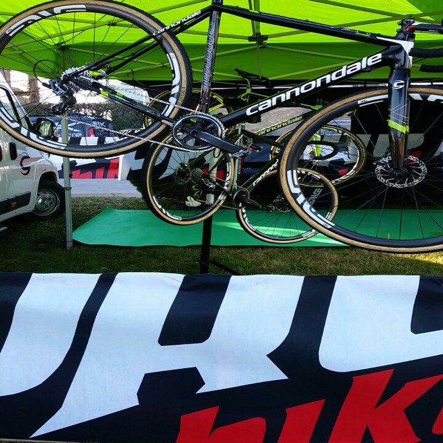 10426085_10205655516816795_6500762228345858445_n