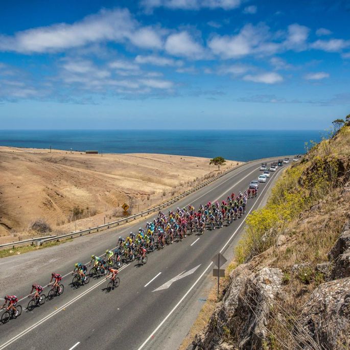 10628802_793327714037526_8025980417952825802_o