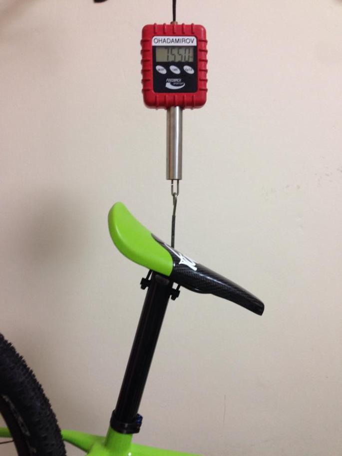 11007440_10204807295475483_872248506_n